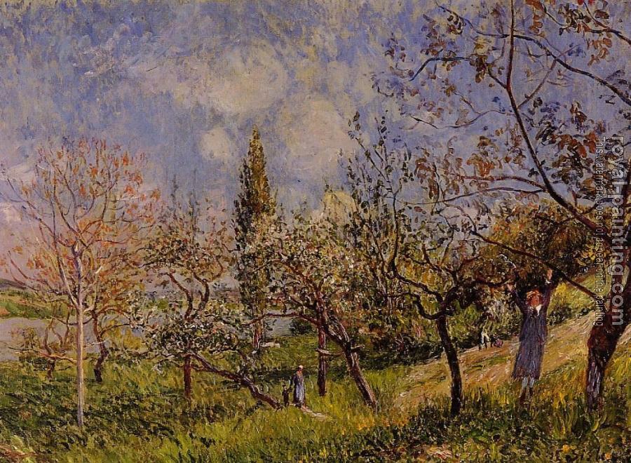 Alfred Sisley : Orchard in Spring
